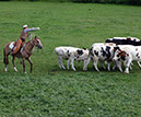 IMG_5689-1