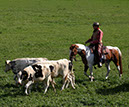 IMG_5691-1