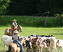 IMG_5698-1