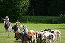 IMG_5702-1