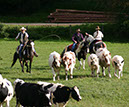 IMG_5713-1