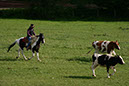 IMG_5718-1